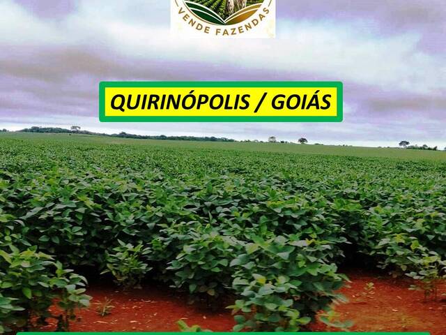 #8555 - Fazenda para Venda em Quirinópolis - GO - 3
