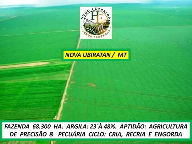 #8567 - Fazenda para Venda em Nova Ubiratã - MT - 2
