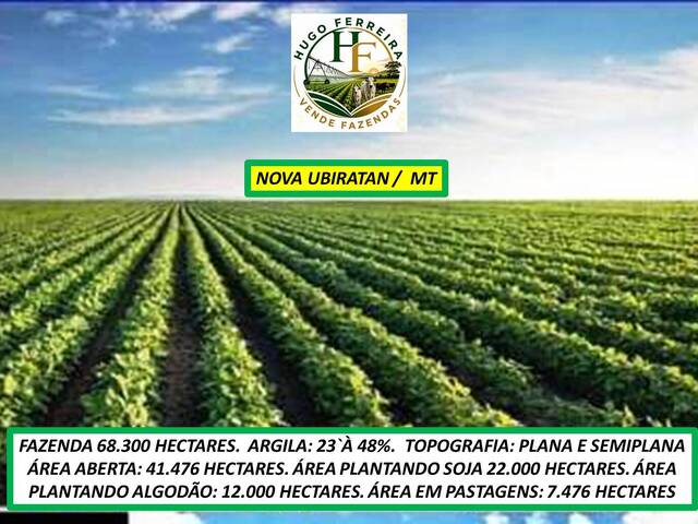 #8567 - Fazenda para Venda em Nova Ubiratã - MT - 3