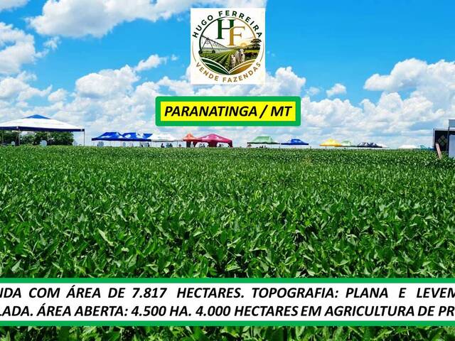  para  em  - 5