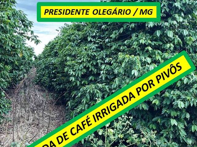 #8595 - Fazenda para Venda em Presidente Olegário - MG