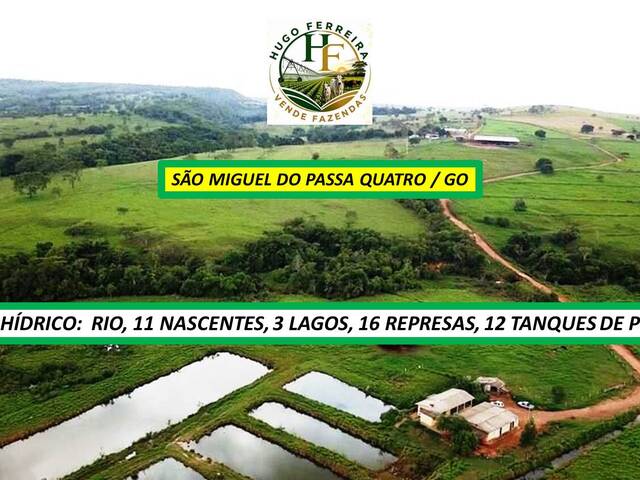 #8600 - Fazenda para Venda em São Miguel do Passa Quatro - GO