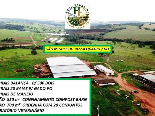 #8600 - Fazenda para Venda em São Miguel do Passa Quatro - GO - 2