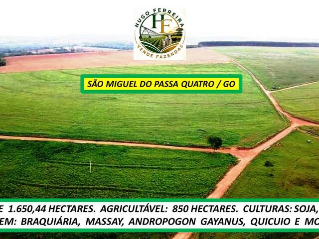#8600 - Fazenda para Venda em São Miguel do Passa Quatro - GO - 3