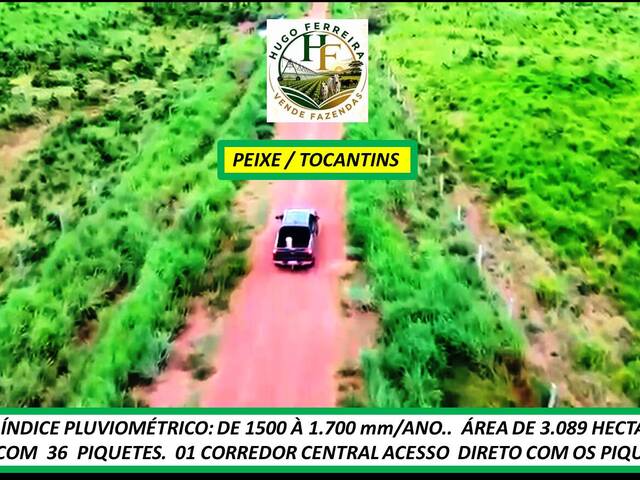  para  em  - 5