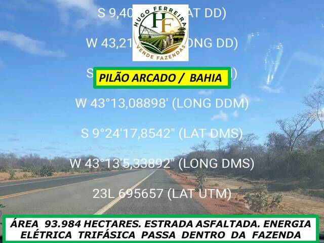 #8620 - Fazenda para Venda em Pilão Arcado - BA - 3
