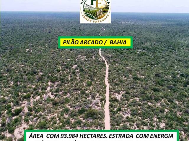  para  em  - 5