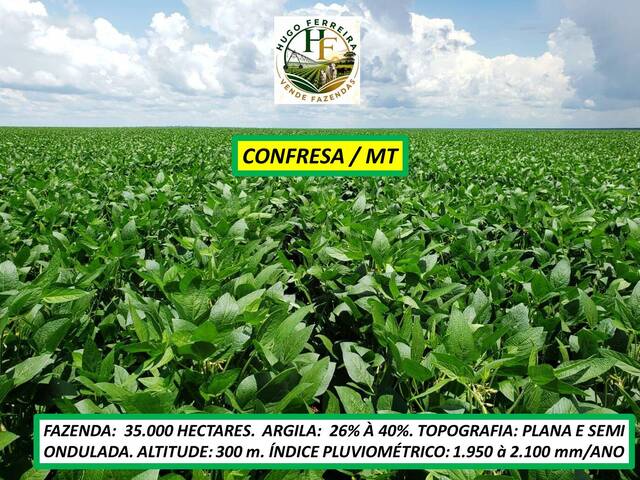#8708 - Fazenda para Venda em Confresa - MT - 2